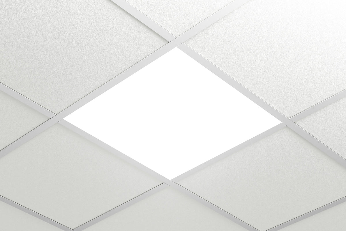 Spectrasol IBP PRO-WORK