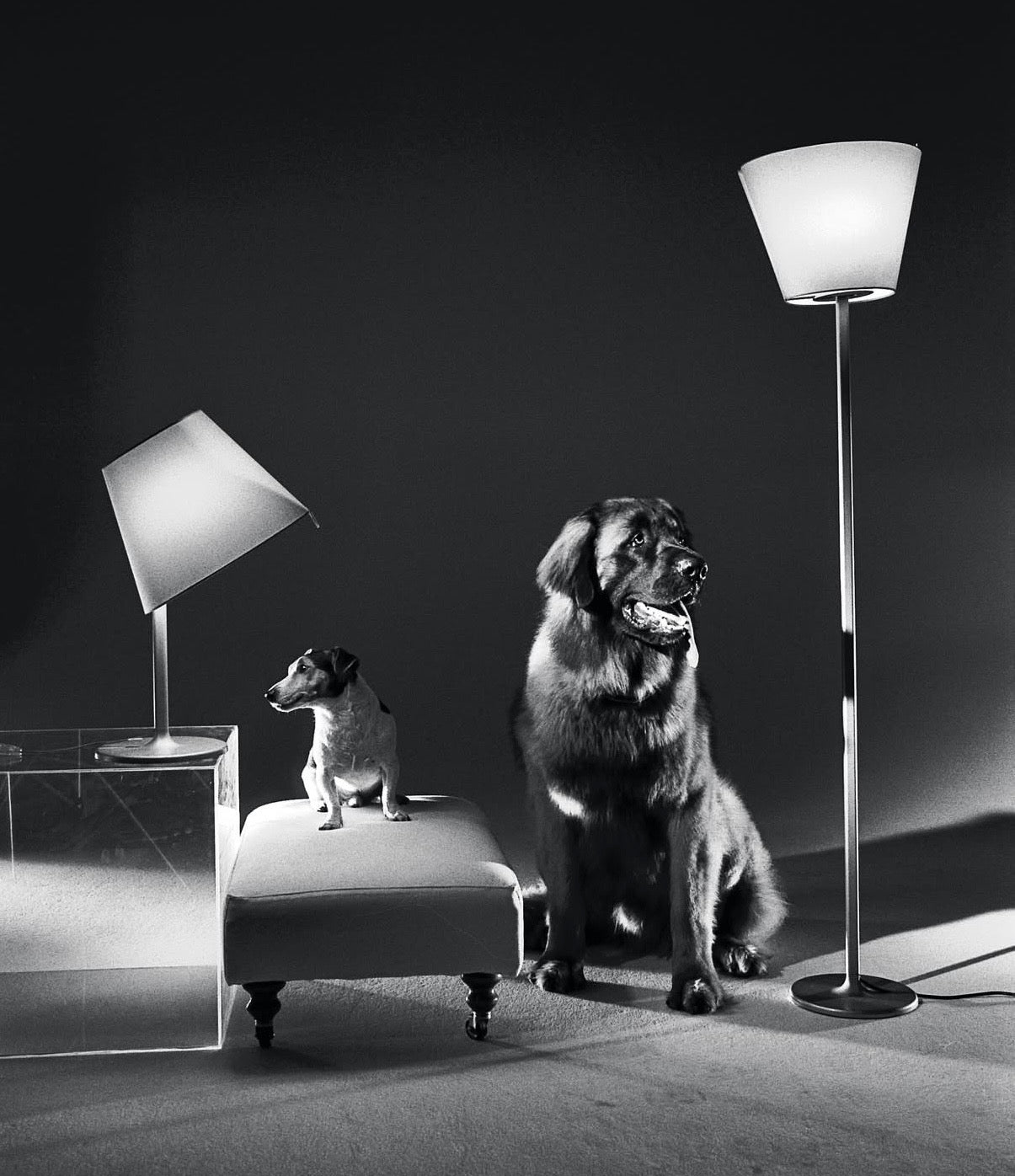 Melampo terra Artemide - stojací lampa