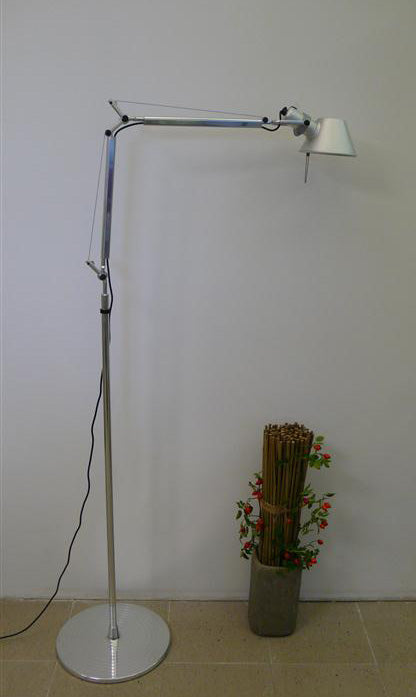 Tolomeo terra