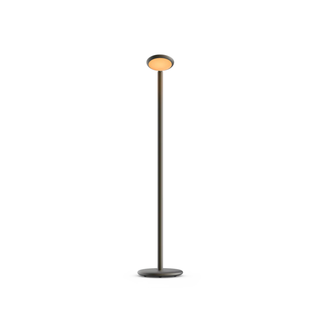 Parrot Floor - stojací lampa - Grau