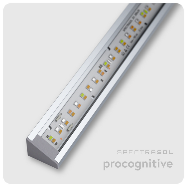 Lineární LED 30/60 nepřímé svítidlo Pro