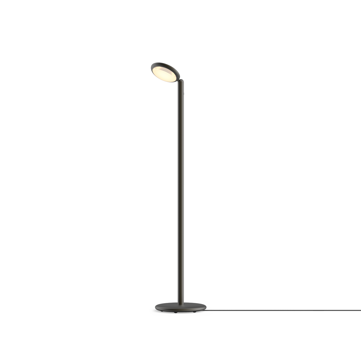 Parrot Floor GRAU – s kabelem, Black Brass