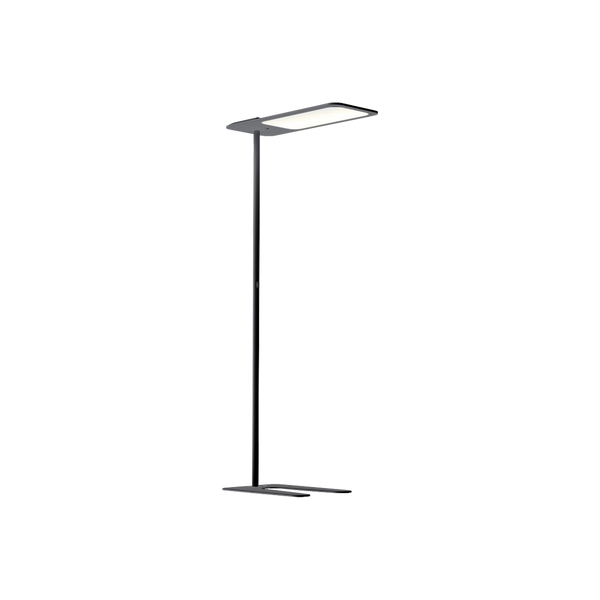 Xt-s One