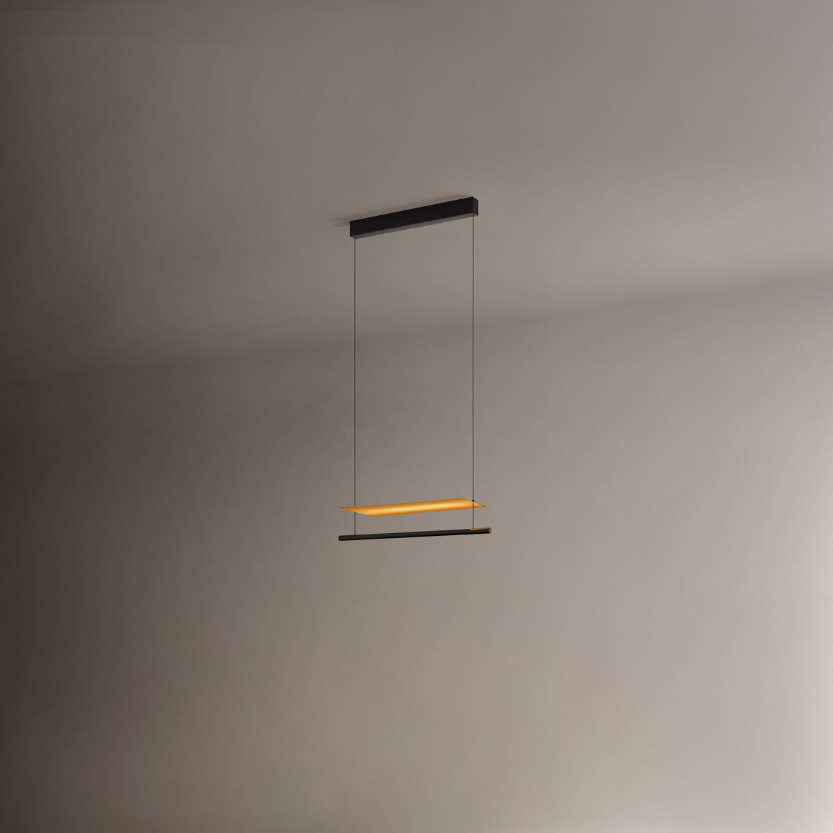 Lámina Dorada 45 – 1 modul