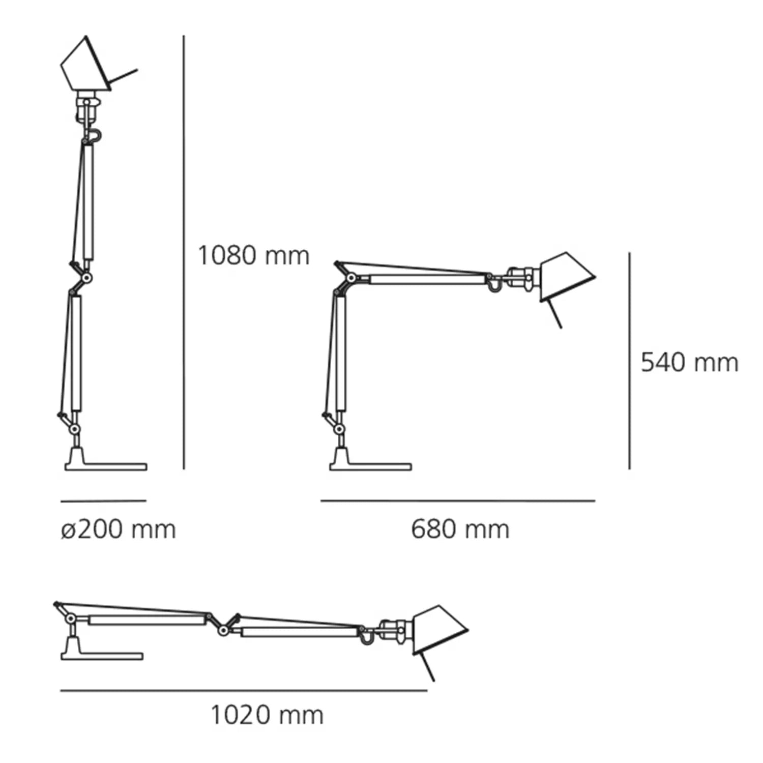 TOLOMEO Body