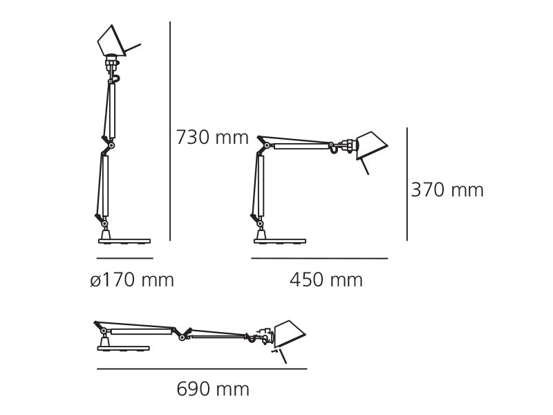 TOLOMEO Body