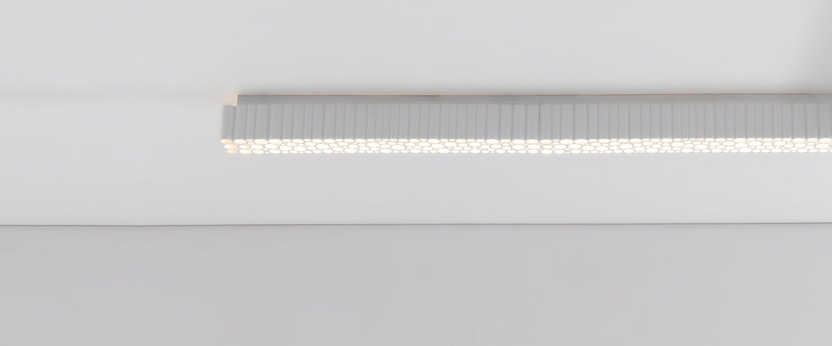 Calipso Linear