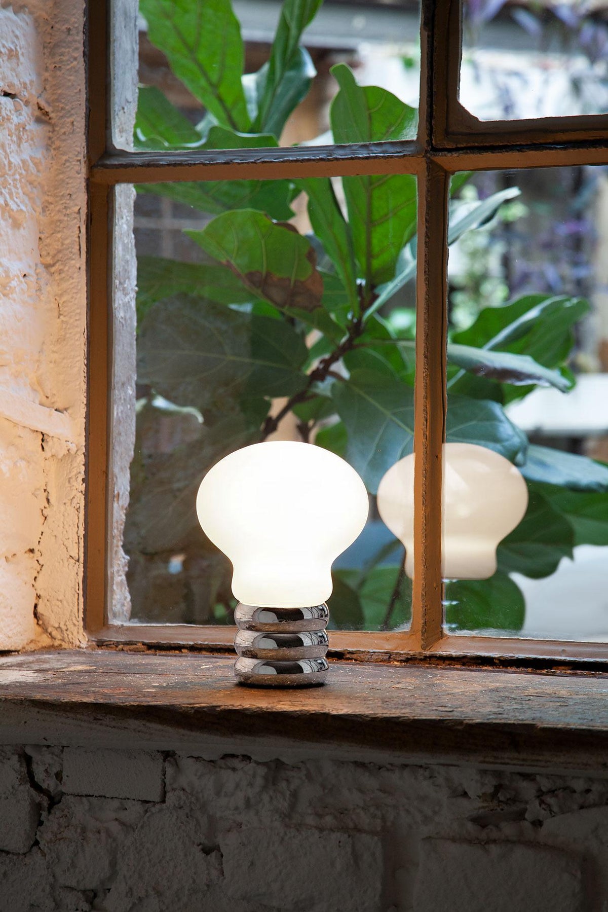 b.bulb