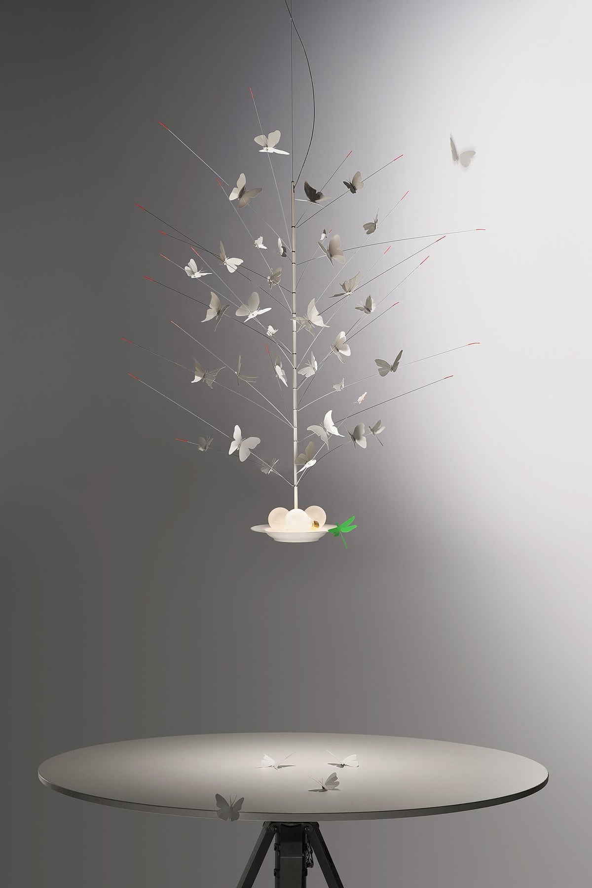 La Festa delle Farfalle