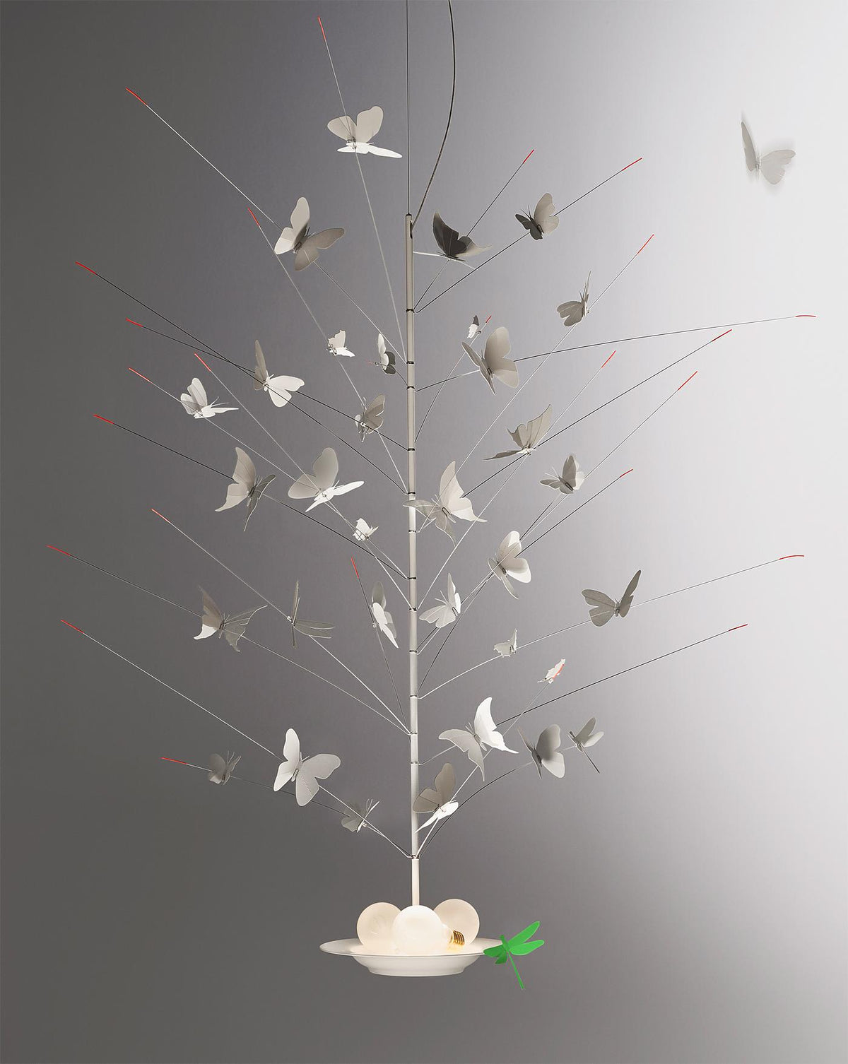 La Festa delle Farfalle