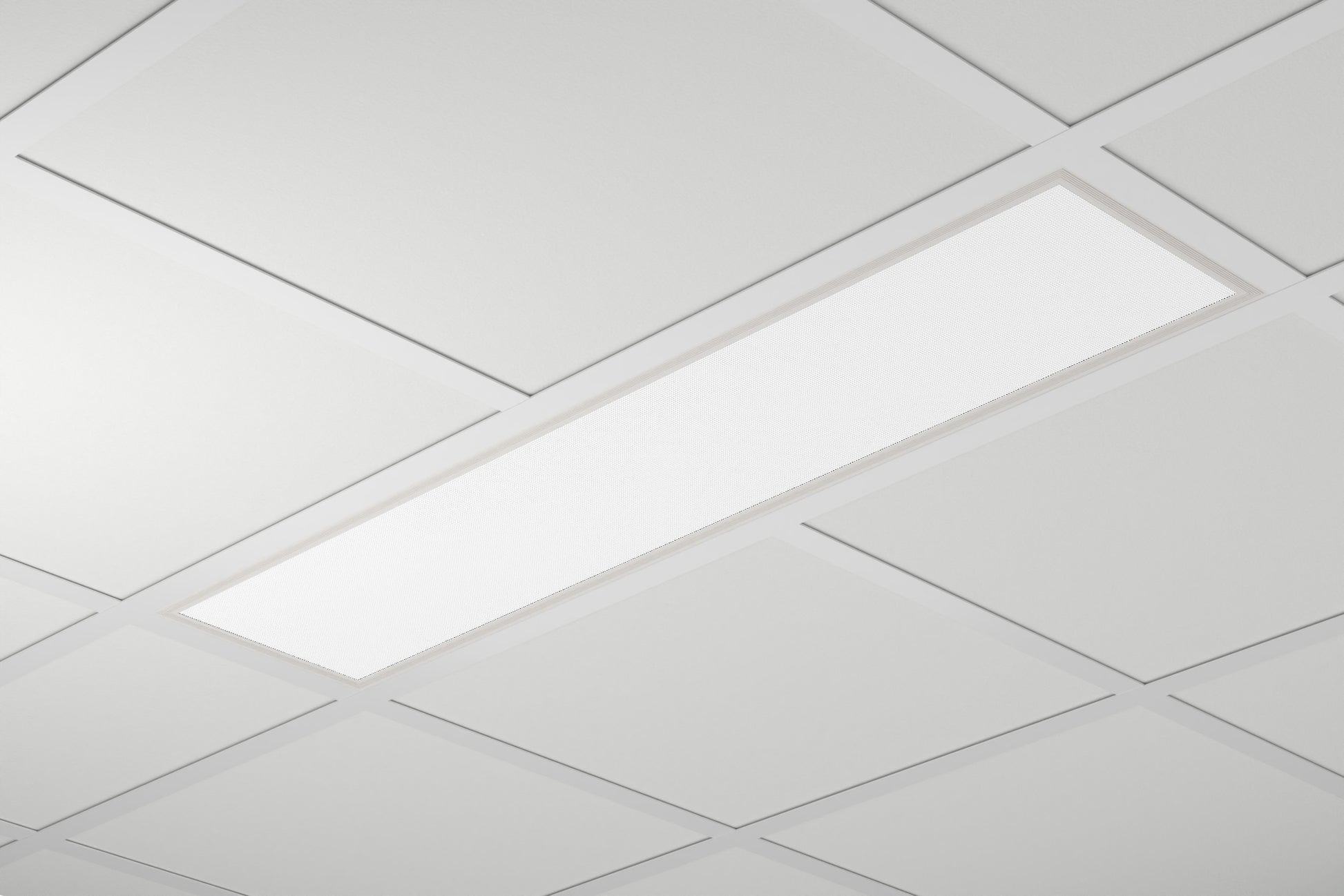 Spectrasol CBP BASIC