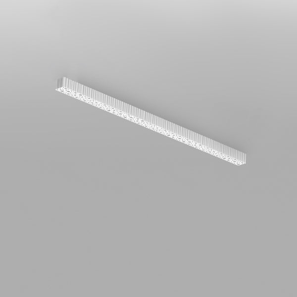 Calipso Linear