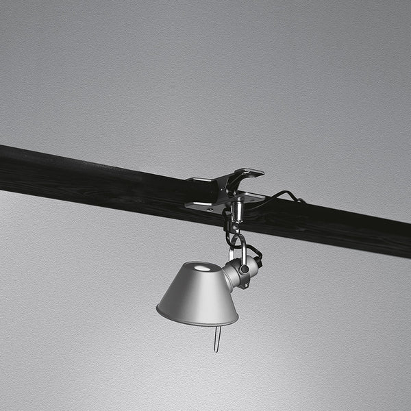 Tolomeo pinza