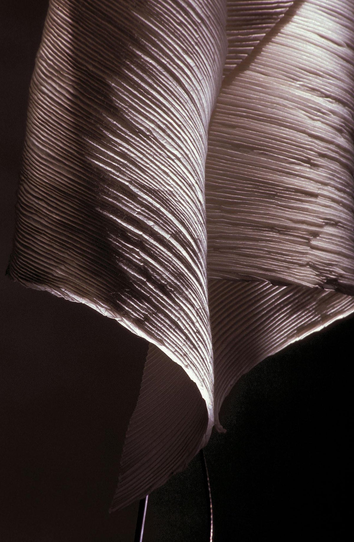 Ysmen — Ingo Maurer